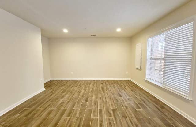 4705 VERDANA Loop Gallery 2
