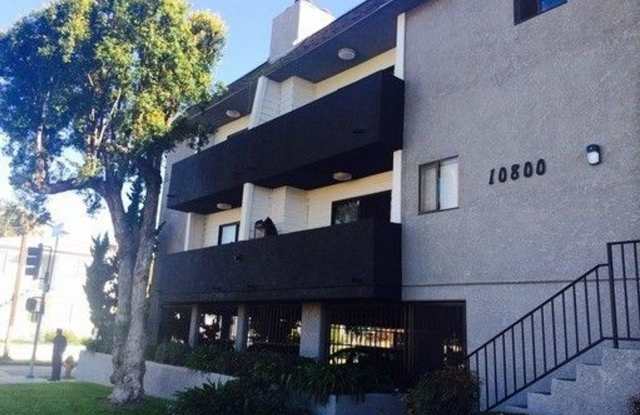 JYS Palms photos photos