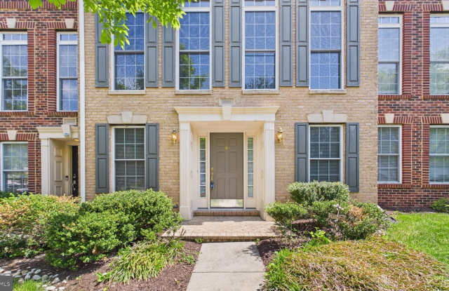 25807 TURLOUGH Terrace photos photos