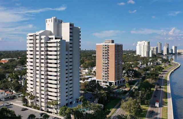 4141 Bayshore Blvd Apt 1204 photos photos