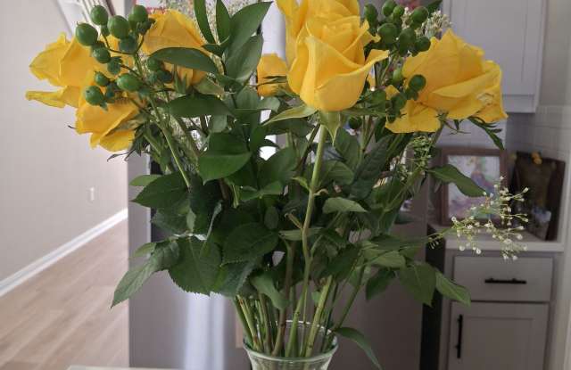 4802 Warm Wassail Drive photos photos