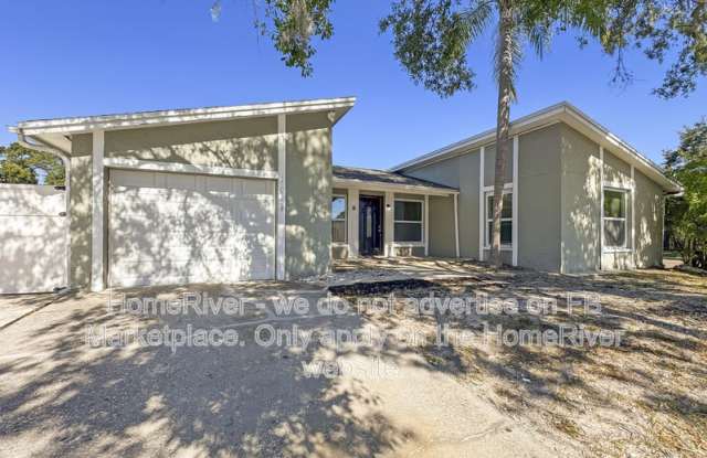 10109 Royal Acres Ct - 10109 Royal Acres Court, Town 'n' Country, FL 33615