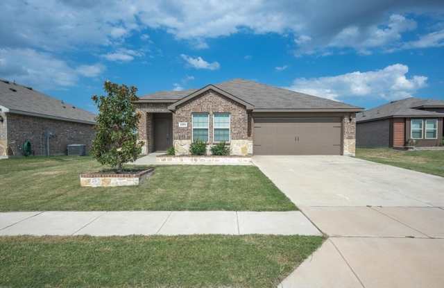 1504 Buckaroo Lane - 1504 Buckaroo Lane, Collin County, TX 75189