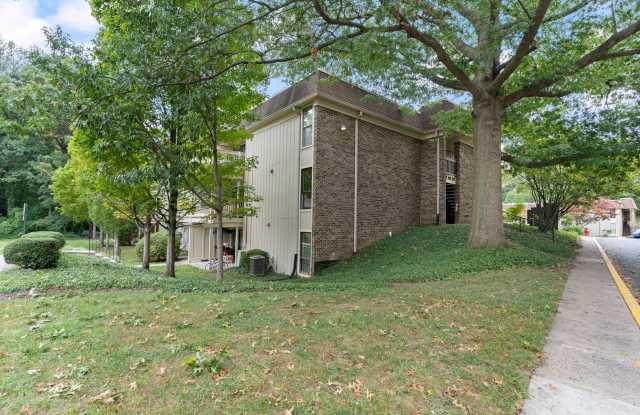 Spacious Springfield Condo in Desirable Neighborhood | 2 Bed, 1 Bath Gallery 3