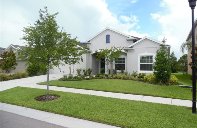 10438 FLAGSTAFF FALLS AVENUE - 10438 Flagstaff Falls Avenue, Riverview, FL 33578