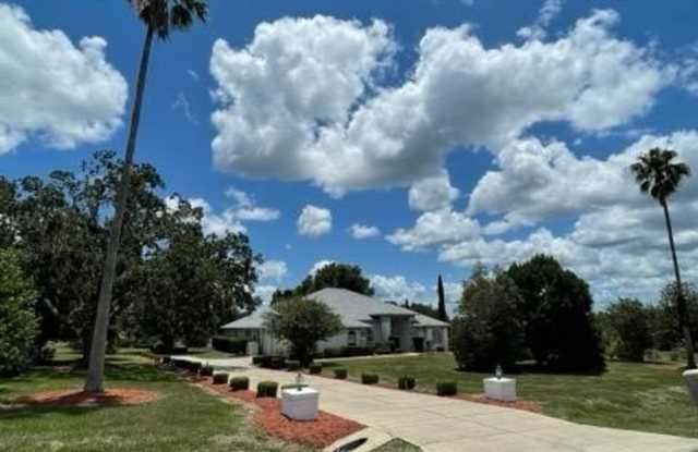 823 N Cherry Pop Drive Gallery 2