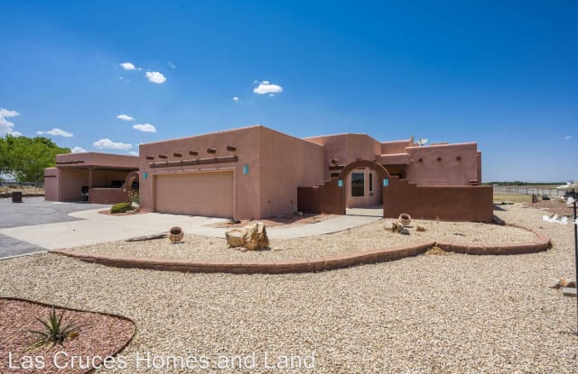 1007 Hoskins Lane - 1007 Hoskins Lane, Doña Ana County, NM 88007