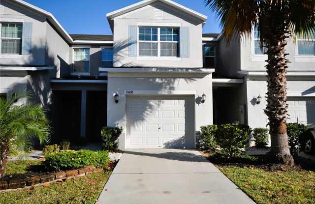 10658 LAKE MONTAUK DRIVE - 10658 Lake Montauk Drive, Riverview, FL 33578