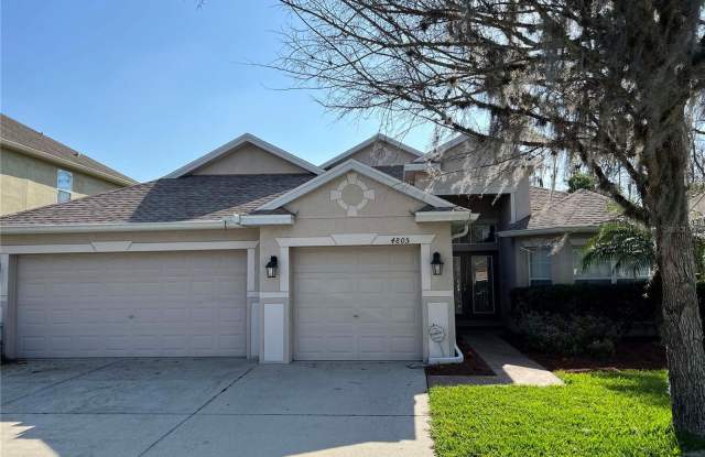 4805 DIAMONDS PALM LOOP - 4805 Diamonds Palm Loop, Wesley Chapel, FL 33543