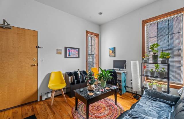 202 Park Street photos photos