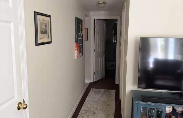 15 Weymouth Avenue Gallery 3