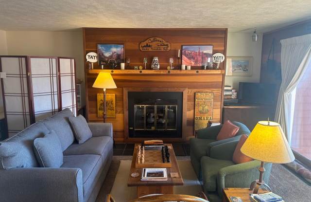 Winter Rental -Timber Ridge Condo - Cozy 1 Bedroom/1 Bath w/Fireplace and Pull-out couch photos photos