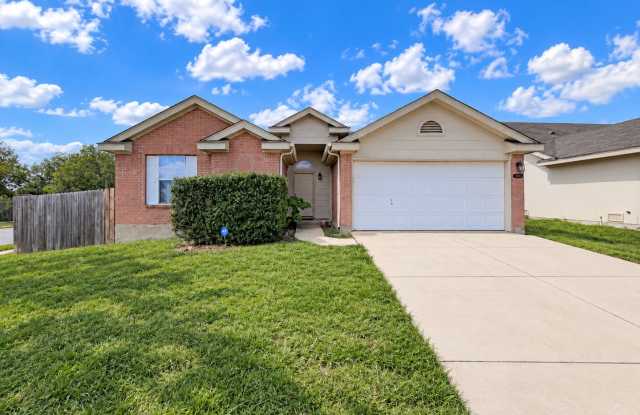 4803 Orchid Star Gallery 1