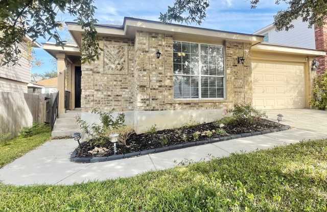 10335 Tiger Hunt photos photos