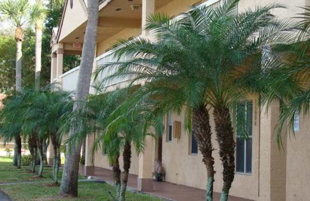 $ GREAT PRICED 2/2 IN CORAL SPRINGS $ Low Move In Costs - Call Today! photos photos