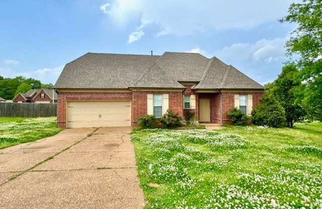 RichardPl4904 photos photos