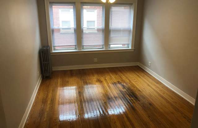 3121 West Foster Avenue - 3121 West Foster Avenue, Chicago, IL 60625