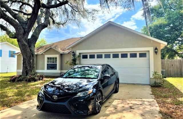 4905 CHURCHILL PLACE - 4905 Churchill Place, Land O' Lakes, FL 34639
