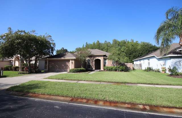 12916 VICKSBURG DRIVE - 12916 Vicksburg Drive, Citrus Park, FL 33625