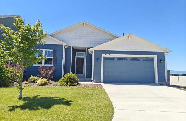 STUNNING RANCHER IN STERLING RANCH WITH MOUNTAIN VIEWS!!!! photos photos