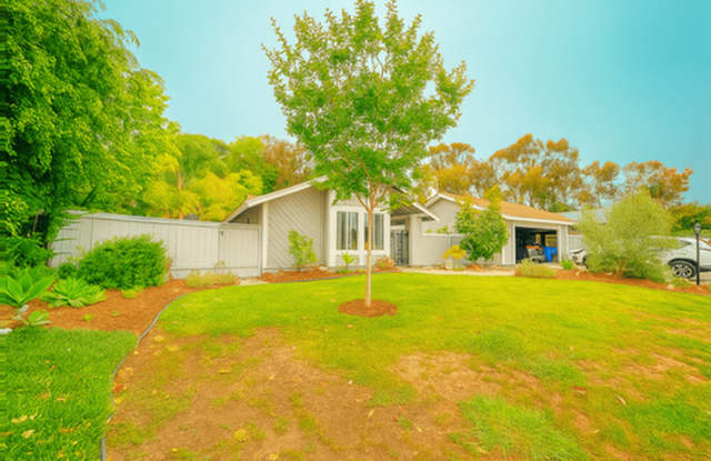 1029 Silver Stallion Dr photos photos