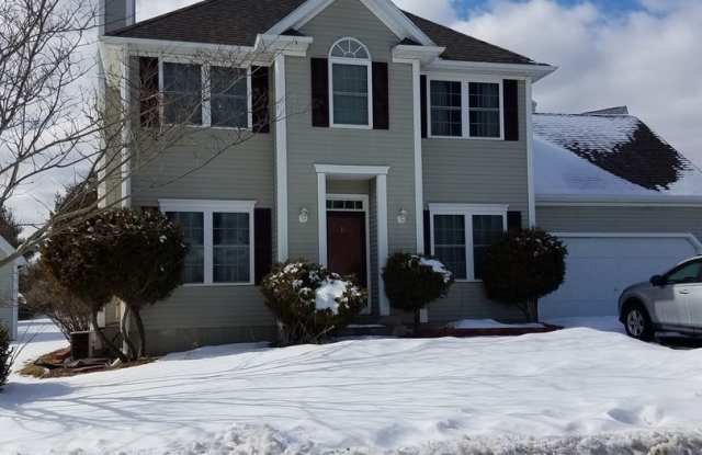 Available in Colchester photos photos