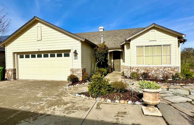 326 Mitchell Lake Lane - 326 Mitchell Lake Lane, Copperopolis, CA 95228