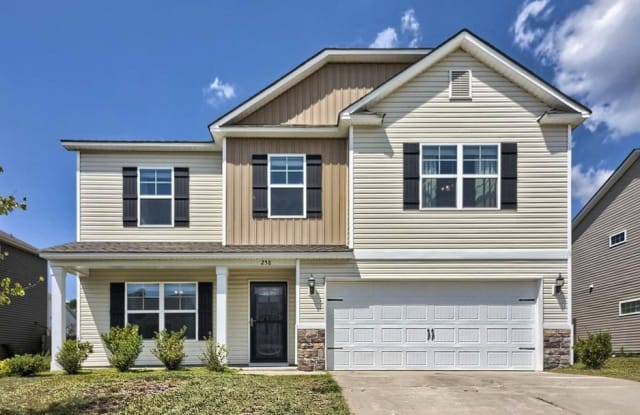 258 Meadow Saffron Drive photos photos