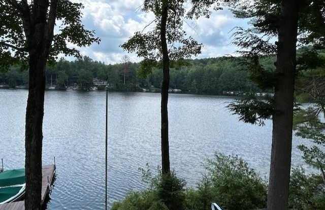 442 Jobs Creek Road photos photos