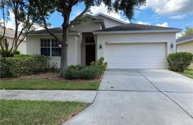 428 FERN GULLEY DRIVE - 428 Fern Gulley Drive, Seffner, FL 33584