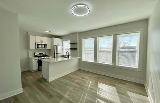 1645 West Cornelia - 1645 West Cornelia Avenue, Chicago, IL 60657