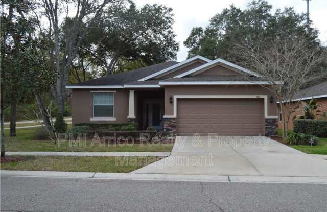 8611 Olive Moss Ct photos photos