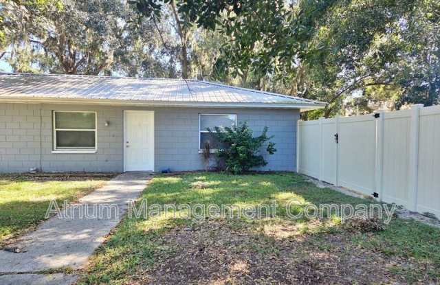 3810 Deeson Rd - 3810 Deeson Road, Kathleen, FL 33810