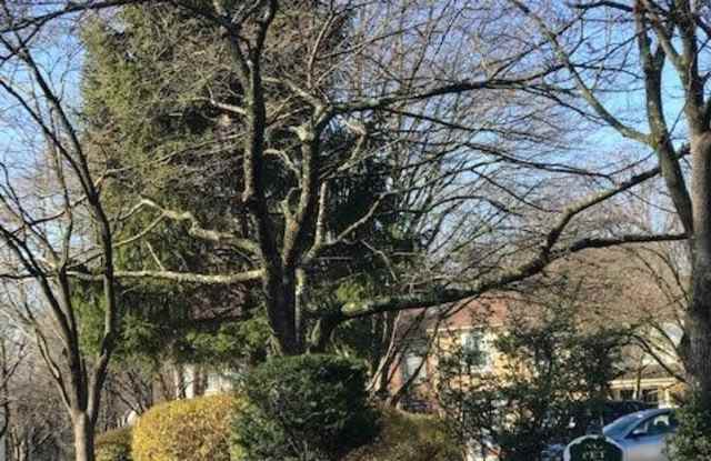 1615 BARNSTEAD DRIVE Gallery 2
