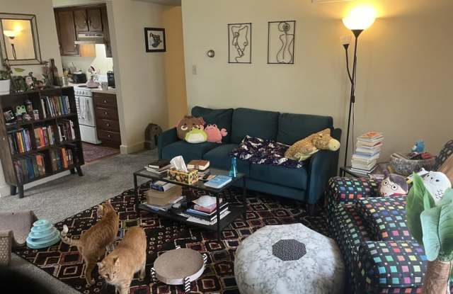 1342 New Jersey Street photos photos