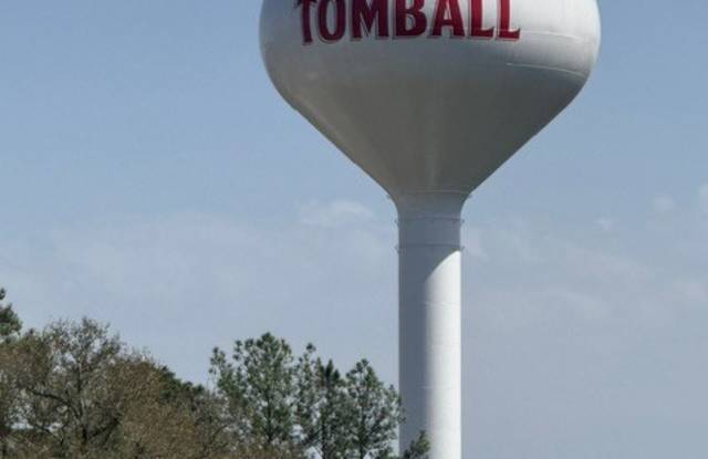 119 Anna Street - 119 Anna Street, Tomball, TX 77375