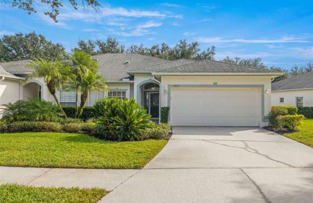 19015 CALLAWAY COURT - 19015 Callaway Court, Pebble Creek, FL 33647