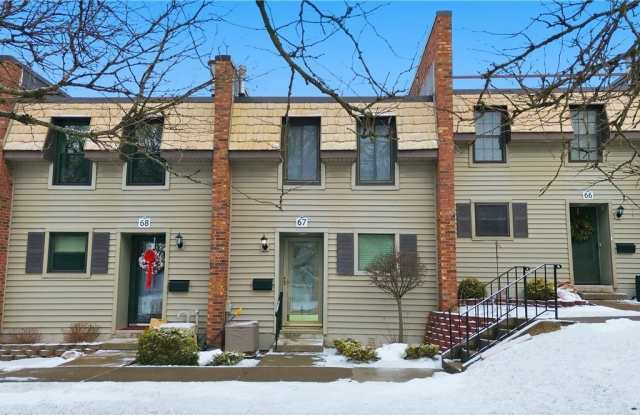 67 Chestnut photos photos