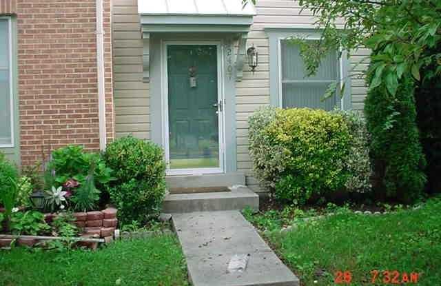 12407 SKY BLUE DRIVE - 12407 Sky Blue Drive, Germantown, MD 20874