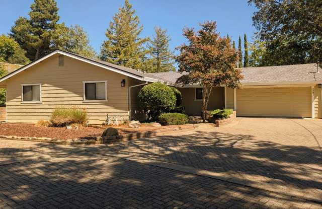 Gorgeous Yard / Well Established Neighborhood Gallery 1