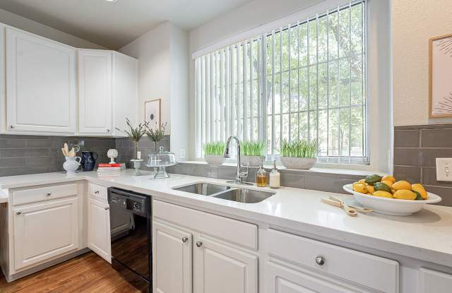 Palazzo Townhomes Gallery 2