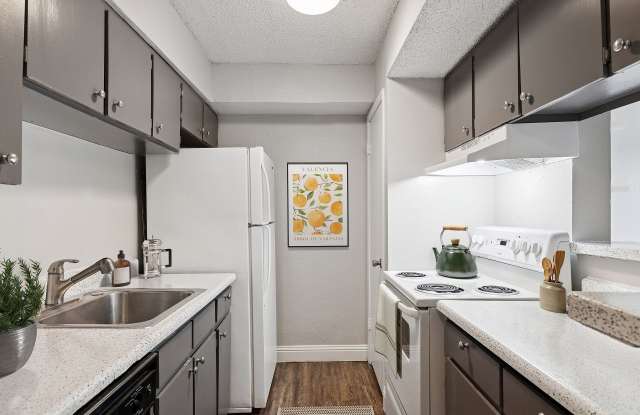 ReNew Scotsdale photos photos