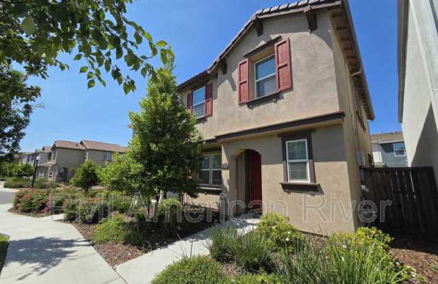 3805 Amelia Rose Way photos photos