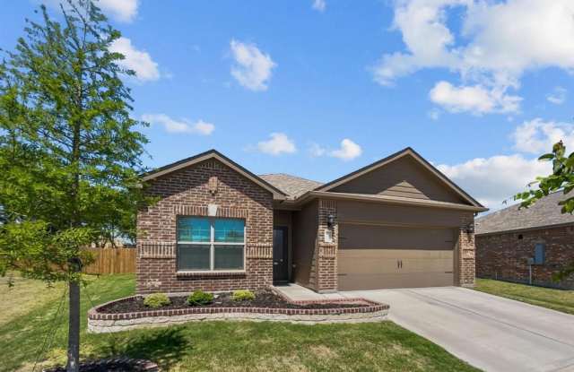 203 Elam Drive - 203 Elam Drive, Anna, TX 75409