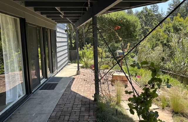 1146 Cragmont Avenue Gallery 1