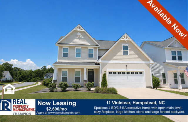 4 BD/3.5 BA plus Bonus Room with Open Floorplan and Fenced Back Yard photos photos