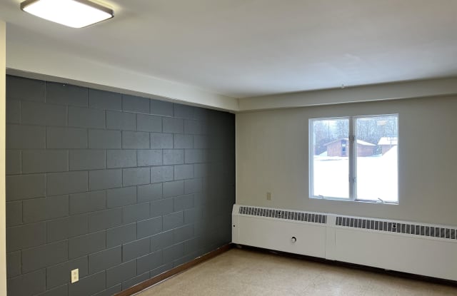 1630 East 29th Street - 1630 East 29th Street, Hibbing, MN 55746