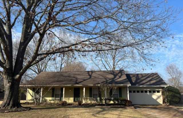 290 ROSE TRELLIS photos photos