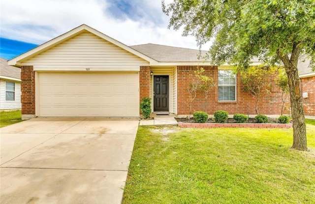 909 Poncho Lane - 909 Poncho Lane, Fort Worth, TX 76052
