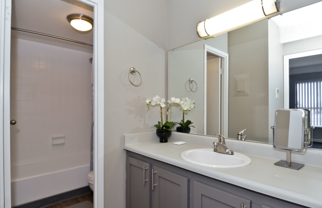 The Croft Apartments Gallery 4